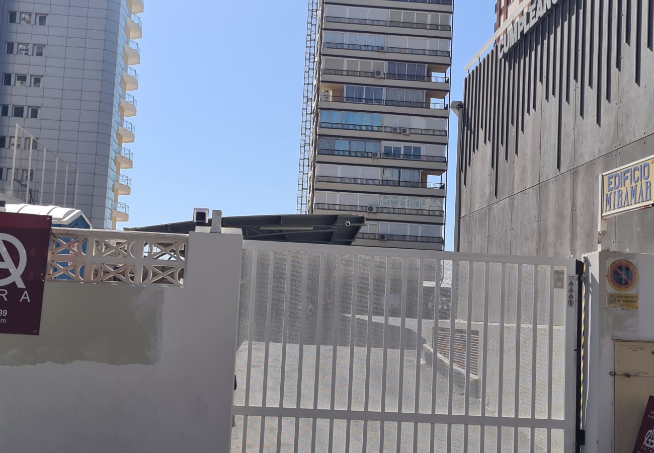 Apartamento en Benidorm - Apartamento  Miramar Playa IF Benidorm