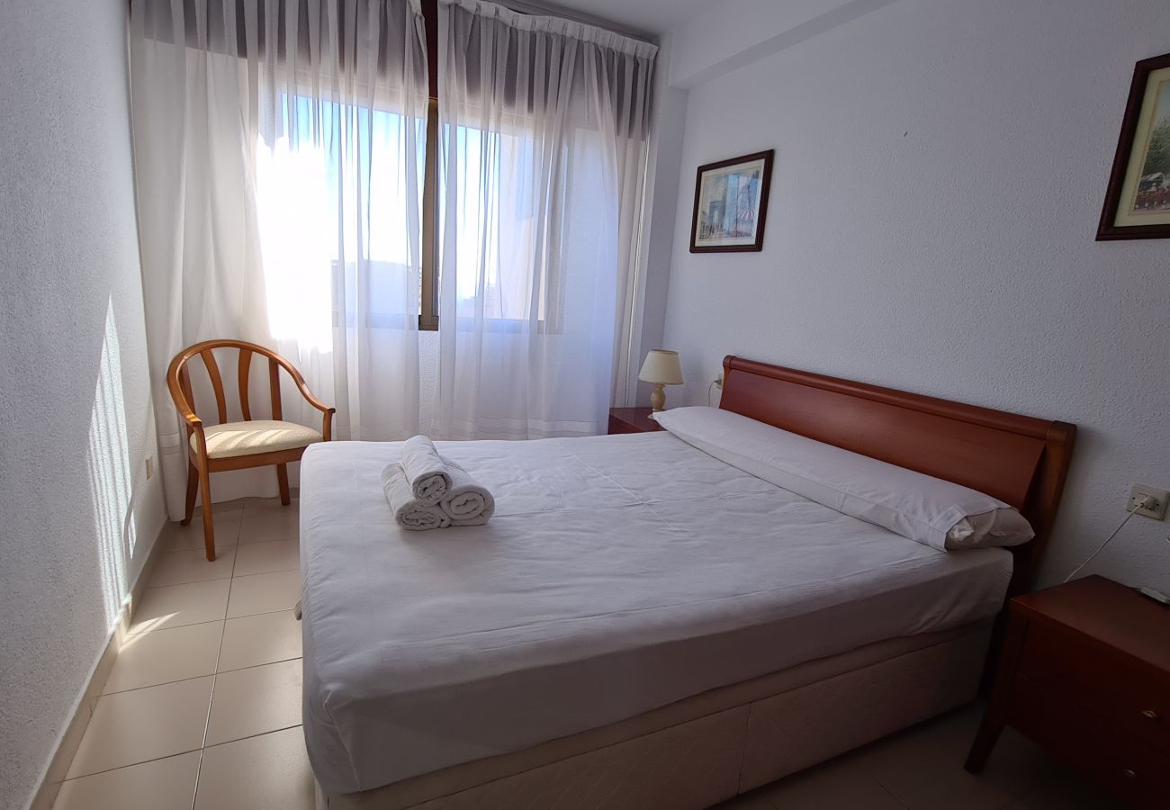 Apartamento en Benidorm - Apartamento   Gemelos XII  17 IF Benidorm