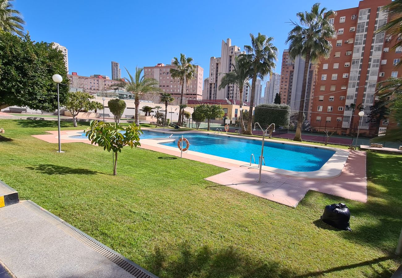 Apartamento en Benidorm - Apartamento   Gemelos XII  17 IF Benidorm