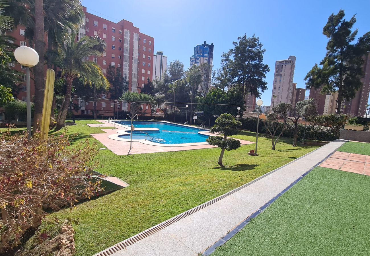 Apartamento en Benidorm - Apartamento   Gemelos XII  17 IF Benidorm