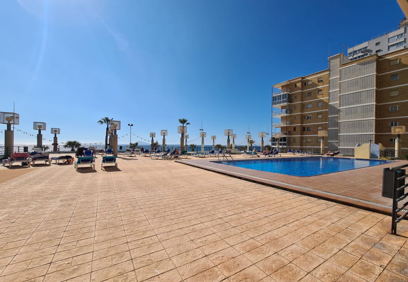 Apartamento en Benidorm - Apartamento  Santa Margarita IF Benidorm