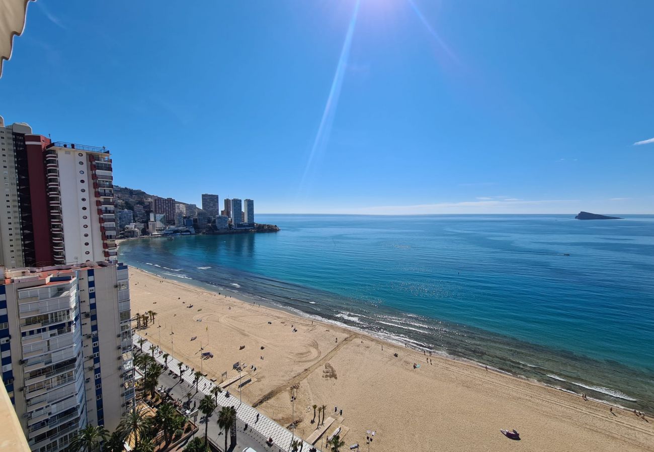 Apartamento en Benidorm - Apartamento  Santa Margarita IF Benidorm