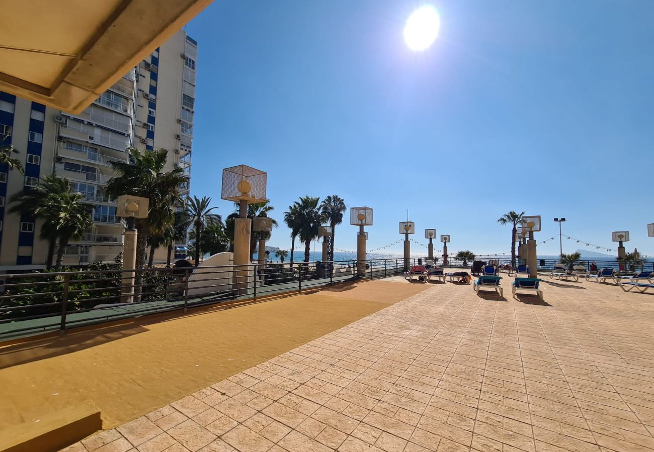 Apartamento en Benidorm - Apartamento  Santa Margarita IF Benidorm