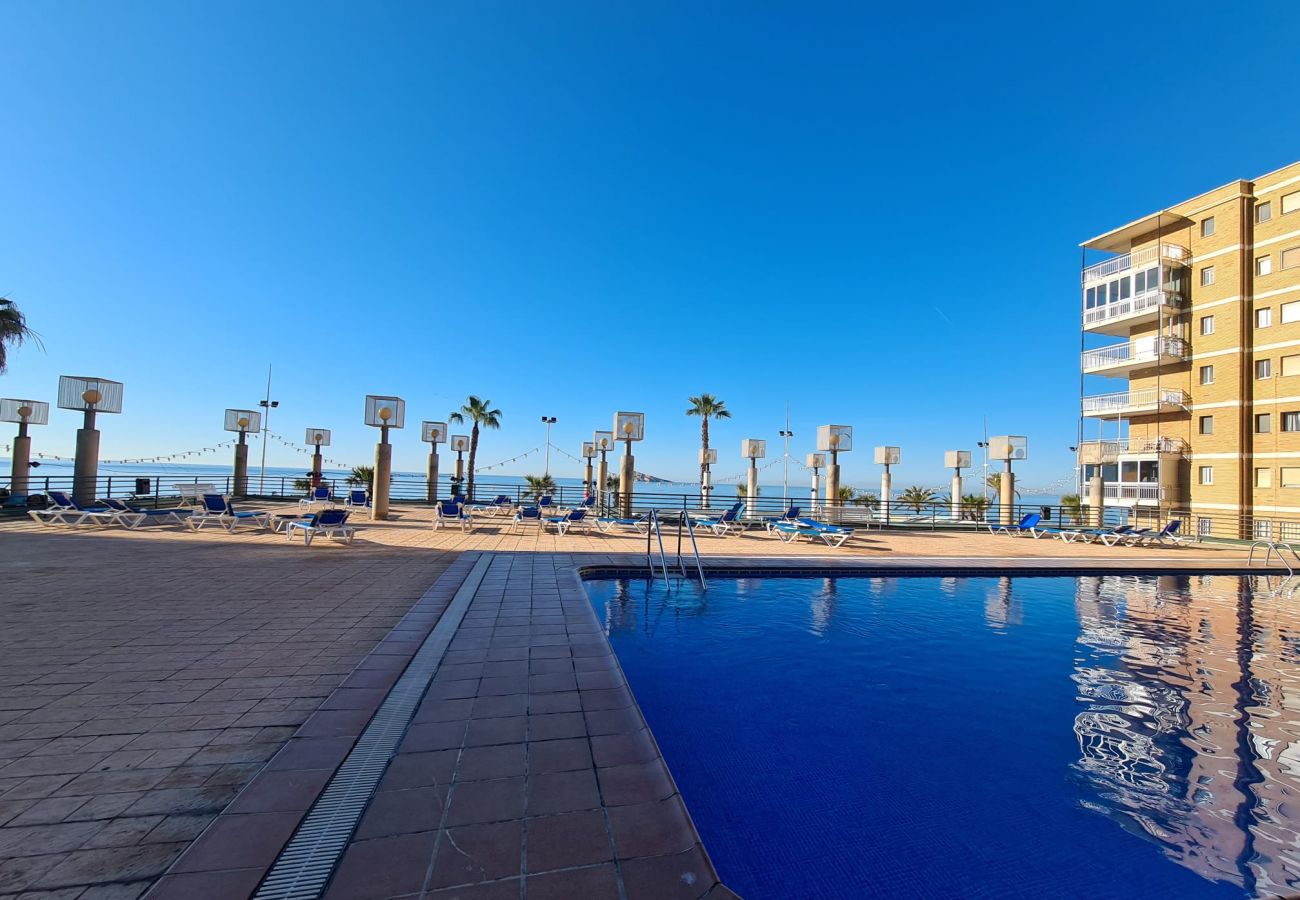 Apartamento en Benidorm - Apartamento  Santa Margarita IF Benidorm