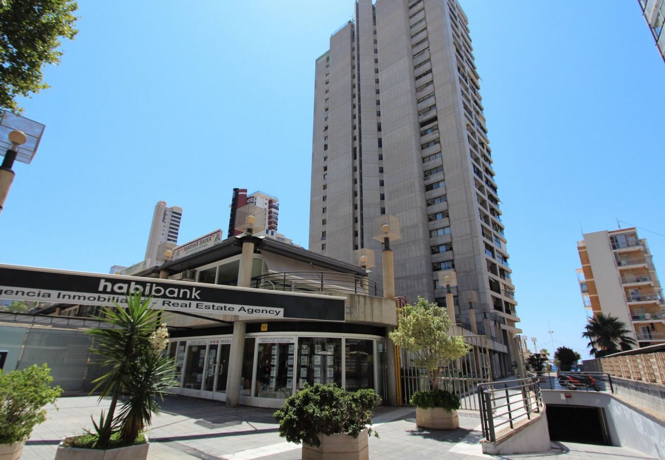 Apartamento en Benidorm - Apartamento  Santa Margarita IF Benidorm