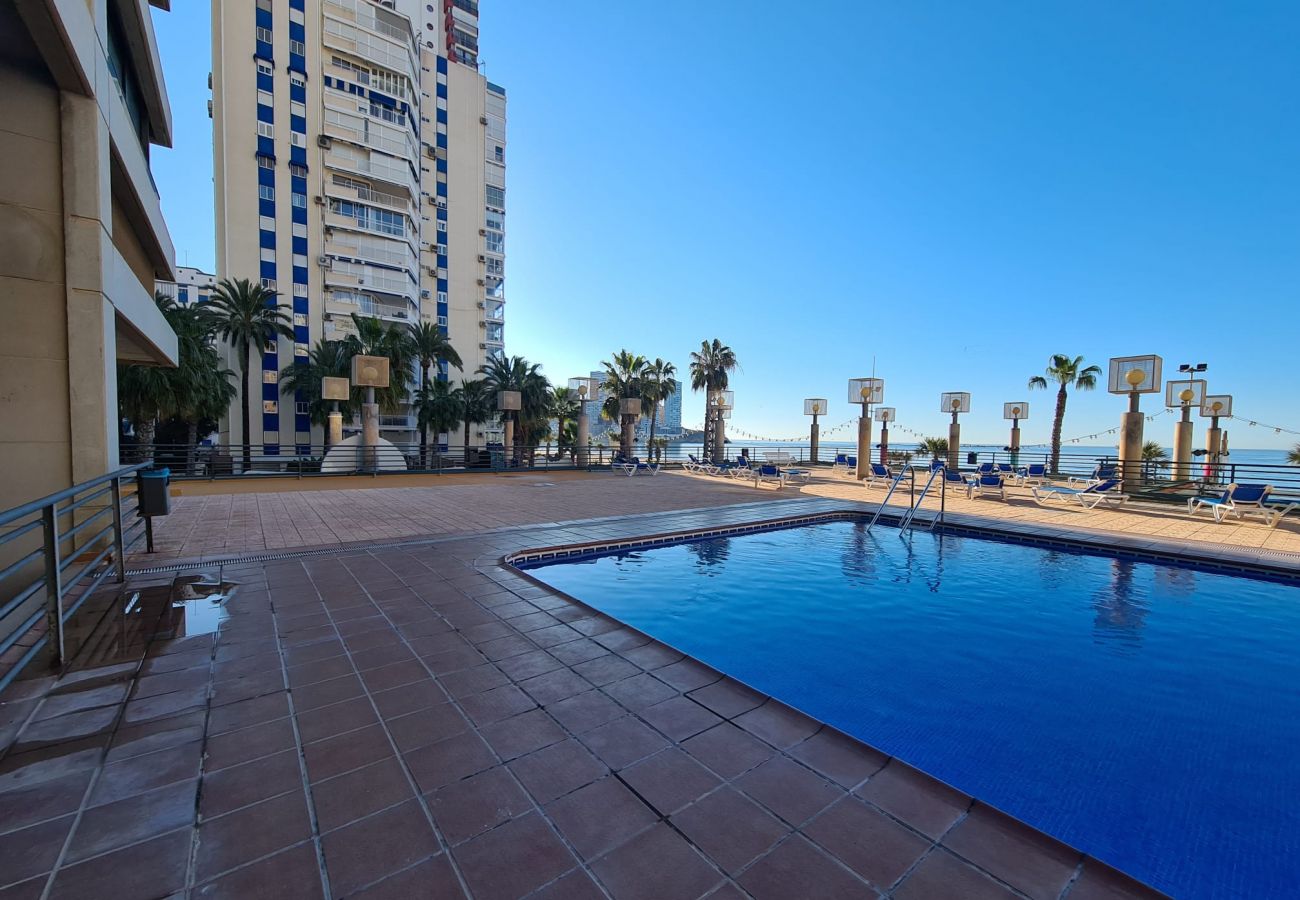 Apartamento en Benidorm - Apartamento  Santa Margarita IF Benidorm