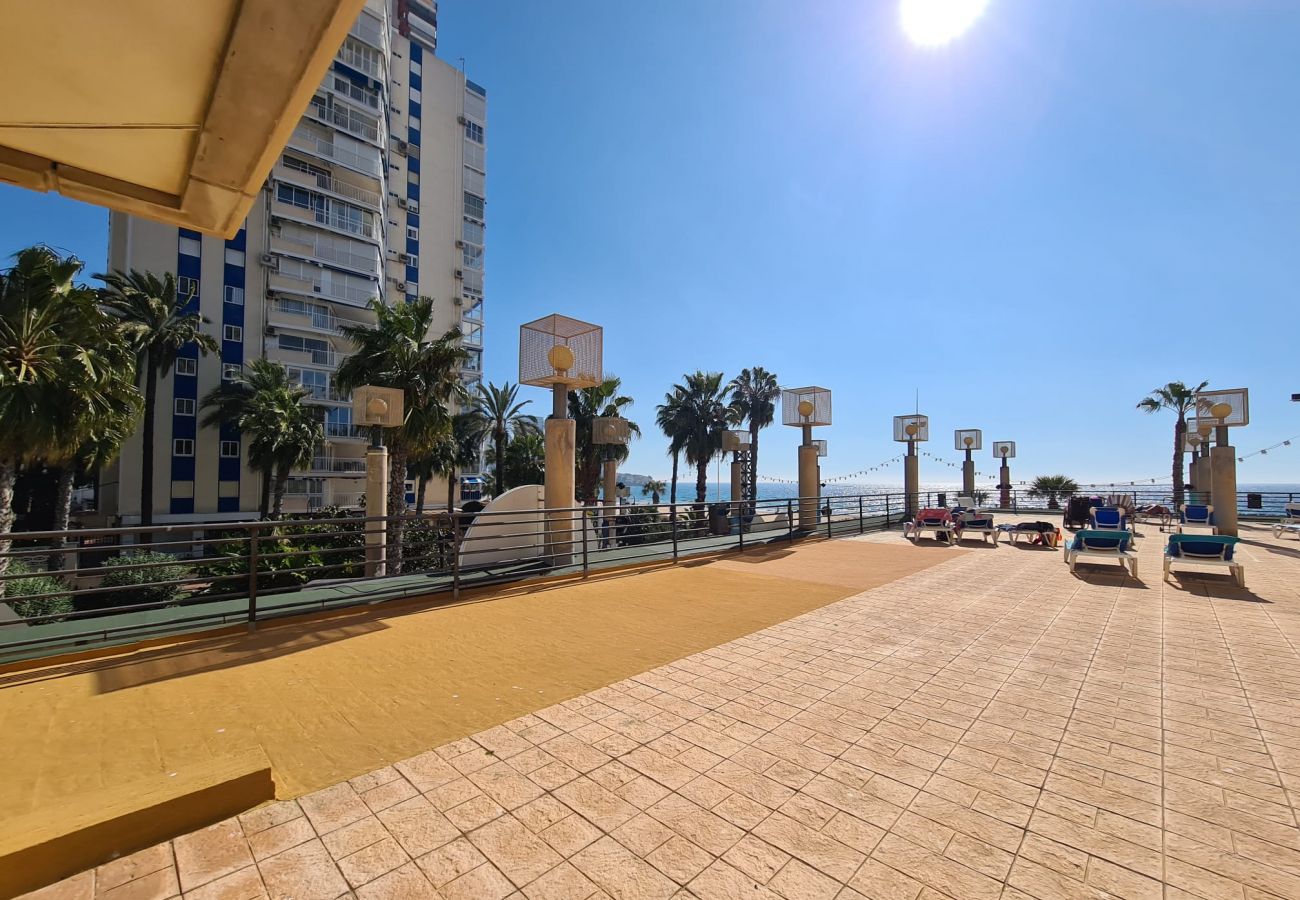 Apartamento en Benidorm - Apartamento  Santa Margarita IF Benidorm