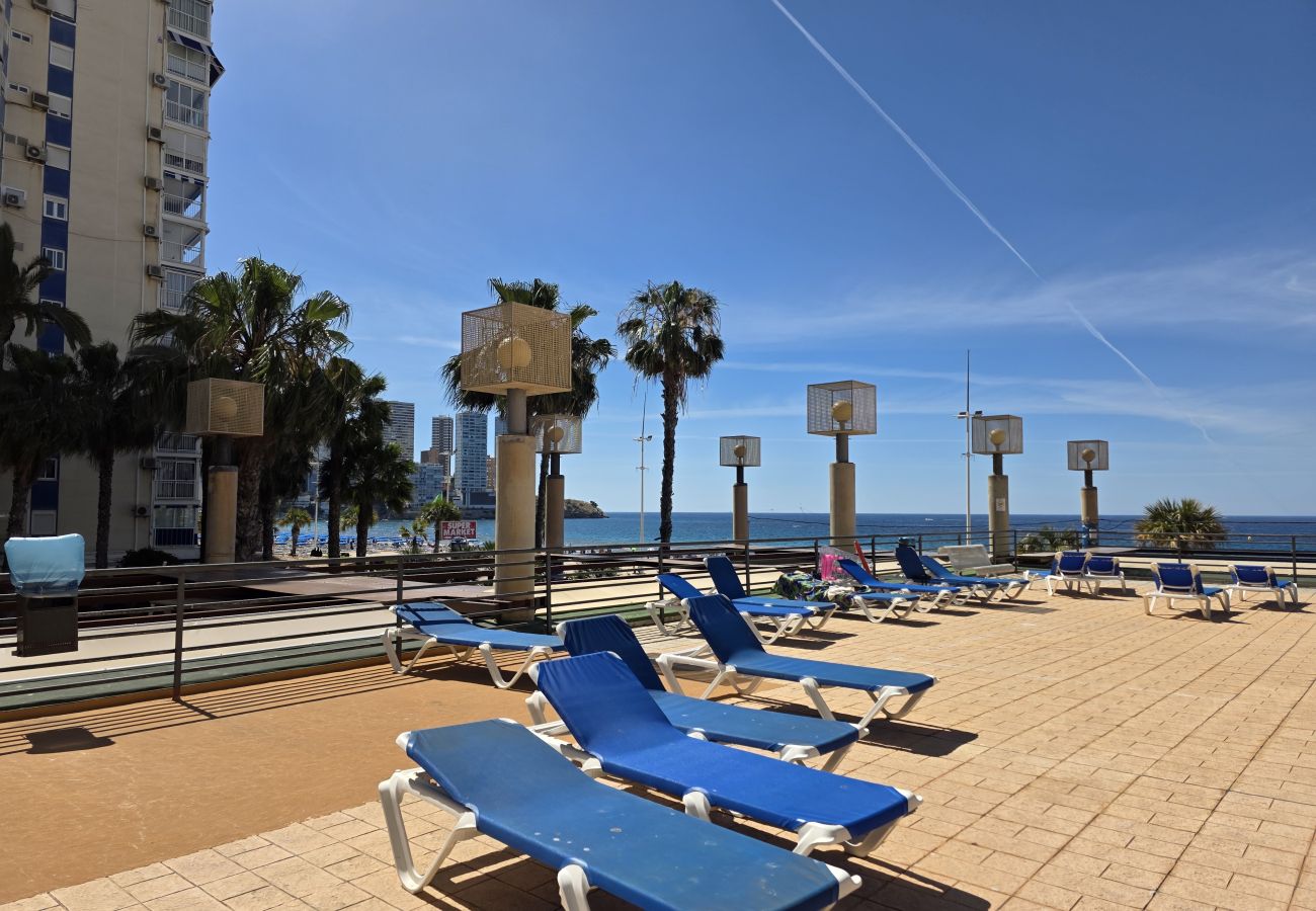 Apartamento en Benidorm - Apartamento  Santa Margarita IF Benidorm