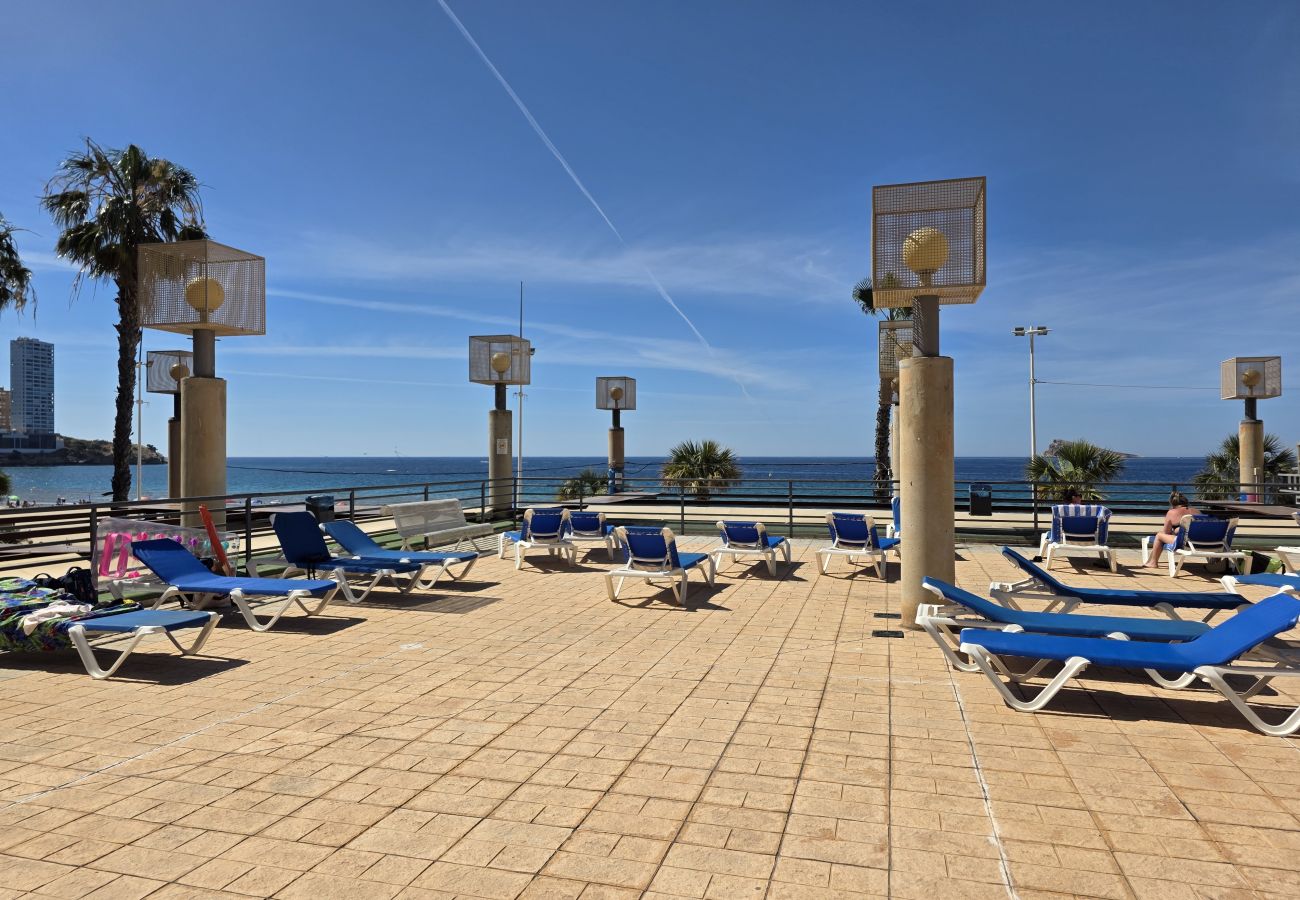 Apartamento en Benidorm - Apartamento  Santa Margarita IF Benidorm