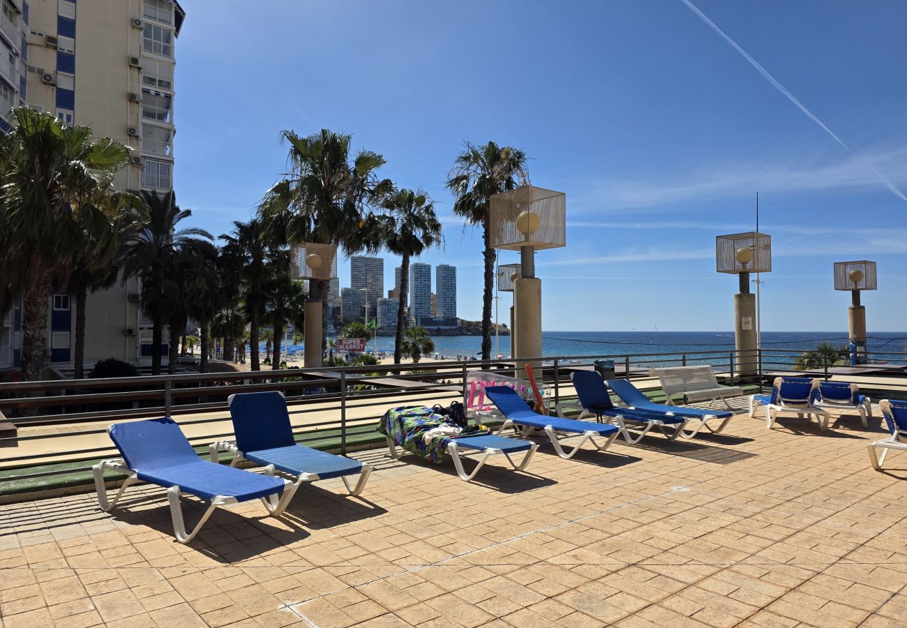 Apartamento en Benidorm - Apartamento  Santa Margarita IF Benidorm