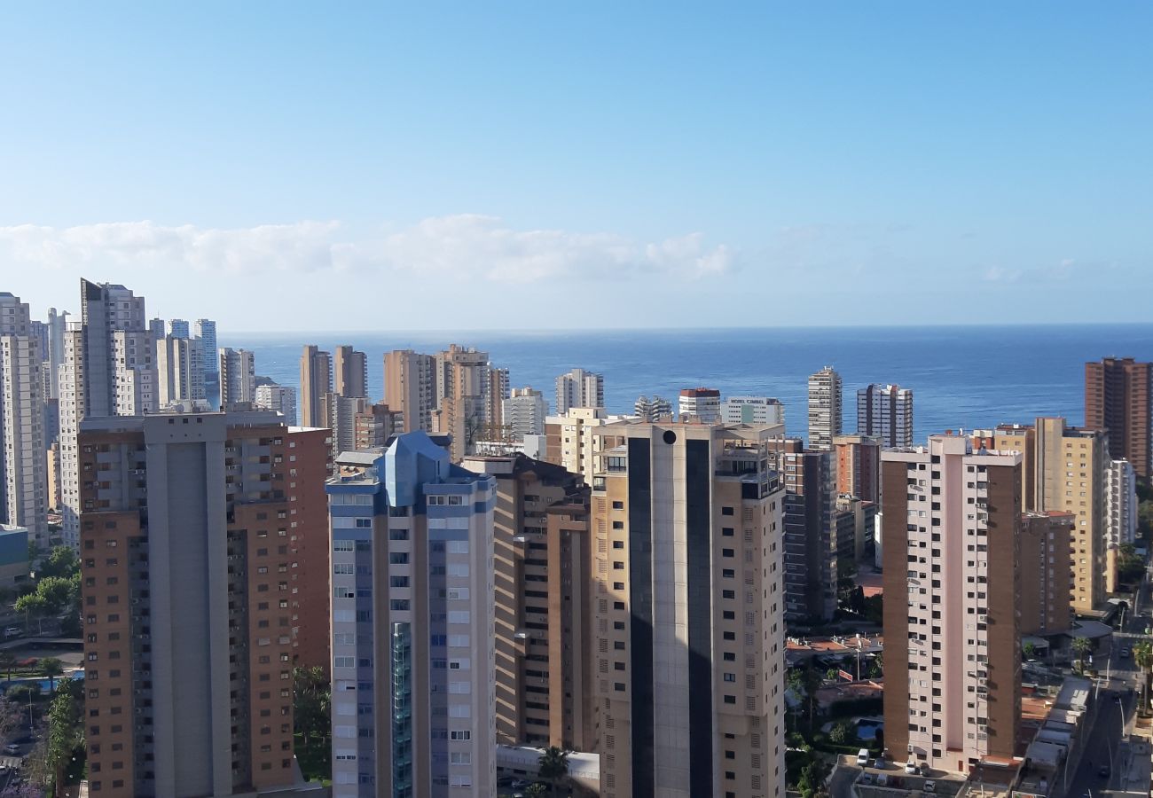 Apartamento en Benidorm - Apartamento  Gemelos XII 23 IF Benidorm