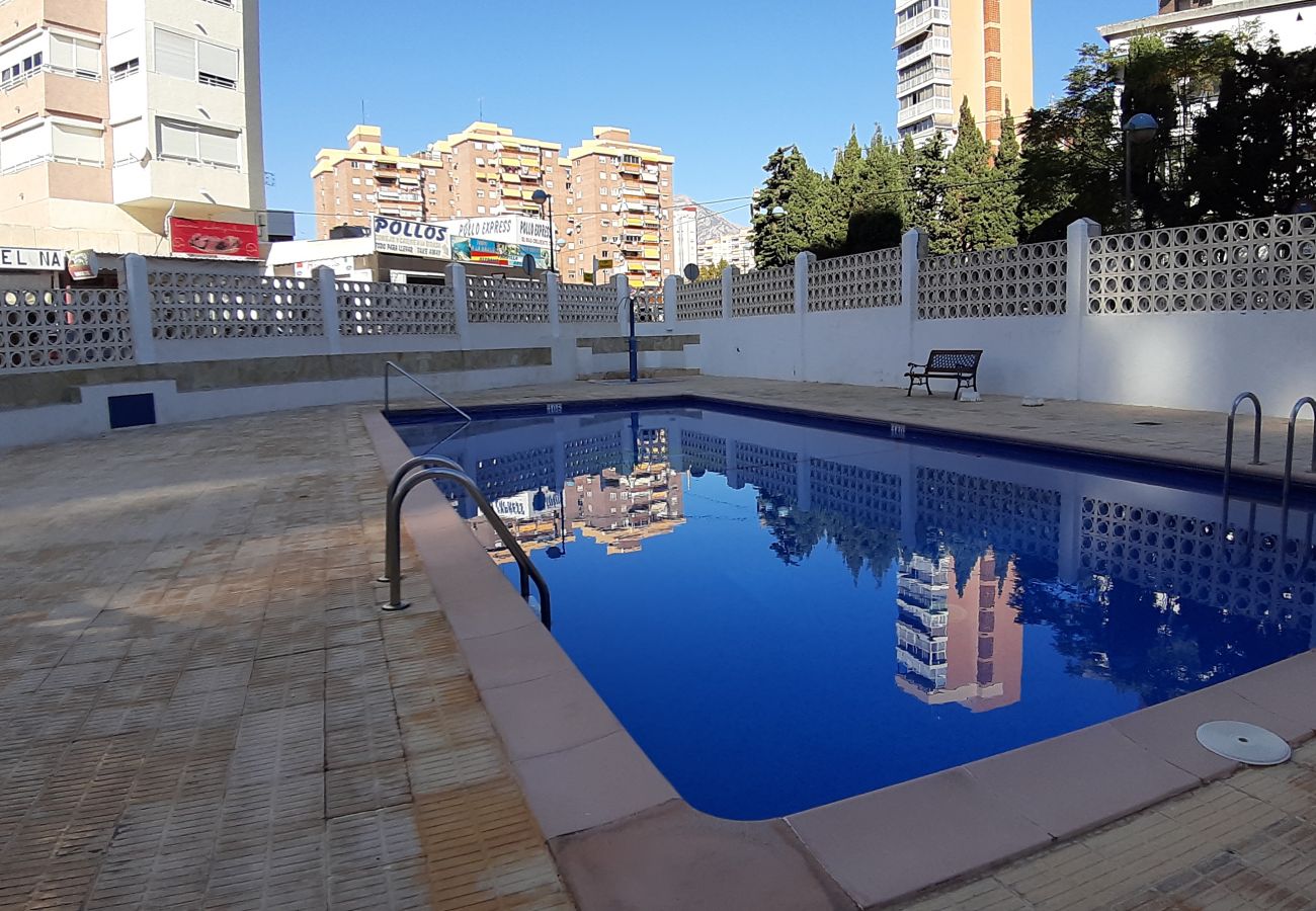 Apartamento en Benidorm - Apartamento  Acacias I  3 IF Benidorm