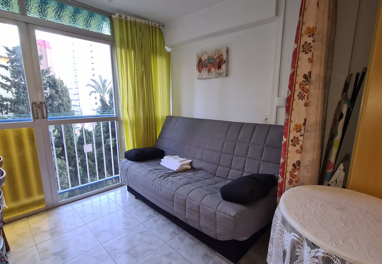 Apartamento en Benidorm - Apartamento  Acacias I  3 IF Benidorm