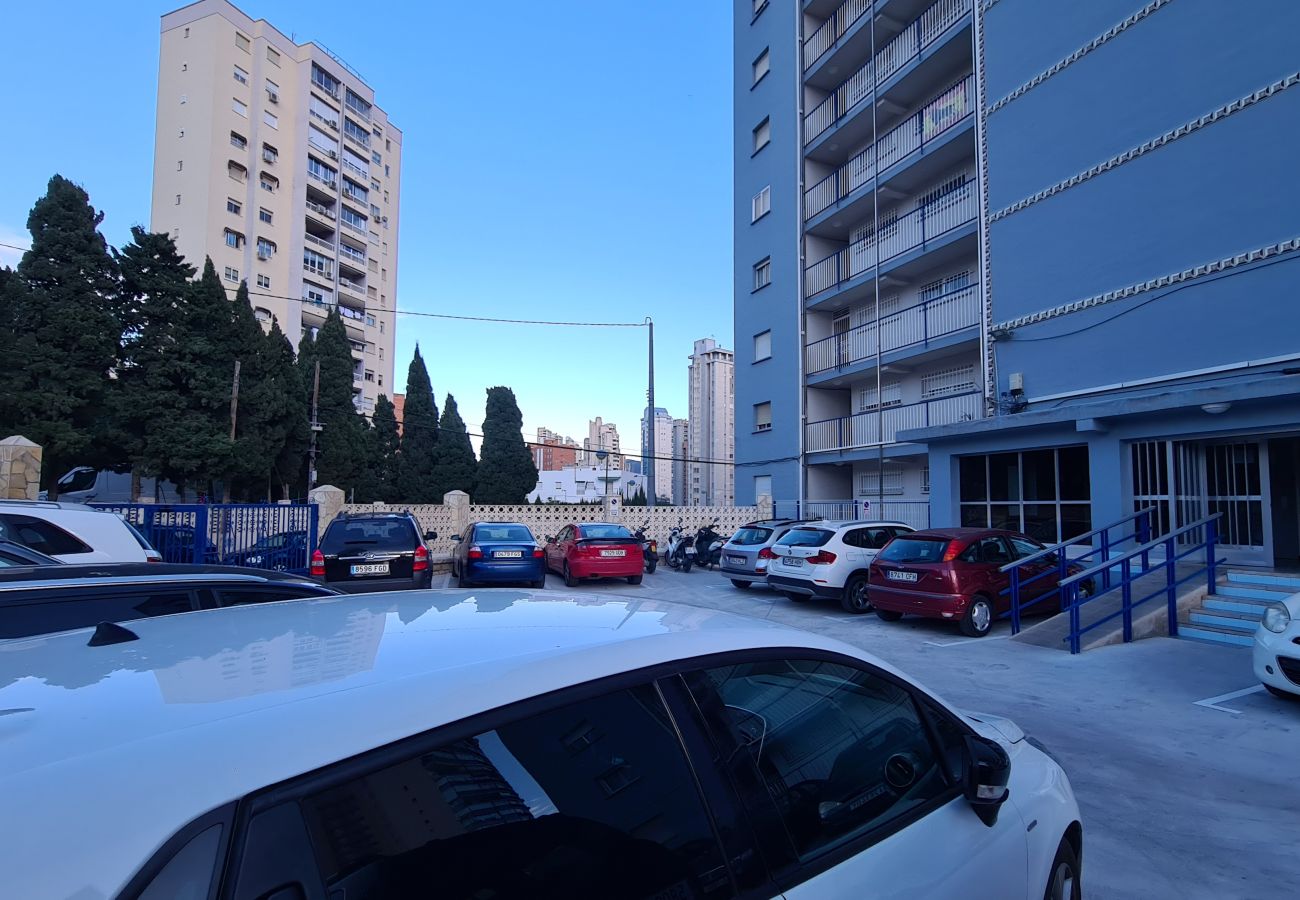 Apartamento en Benidorm - Apartamento  Acacias I  3 IF Benidorm