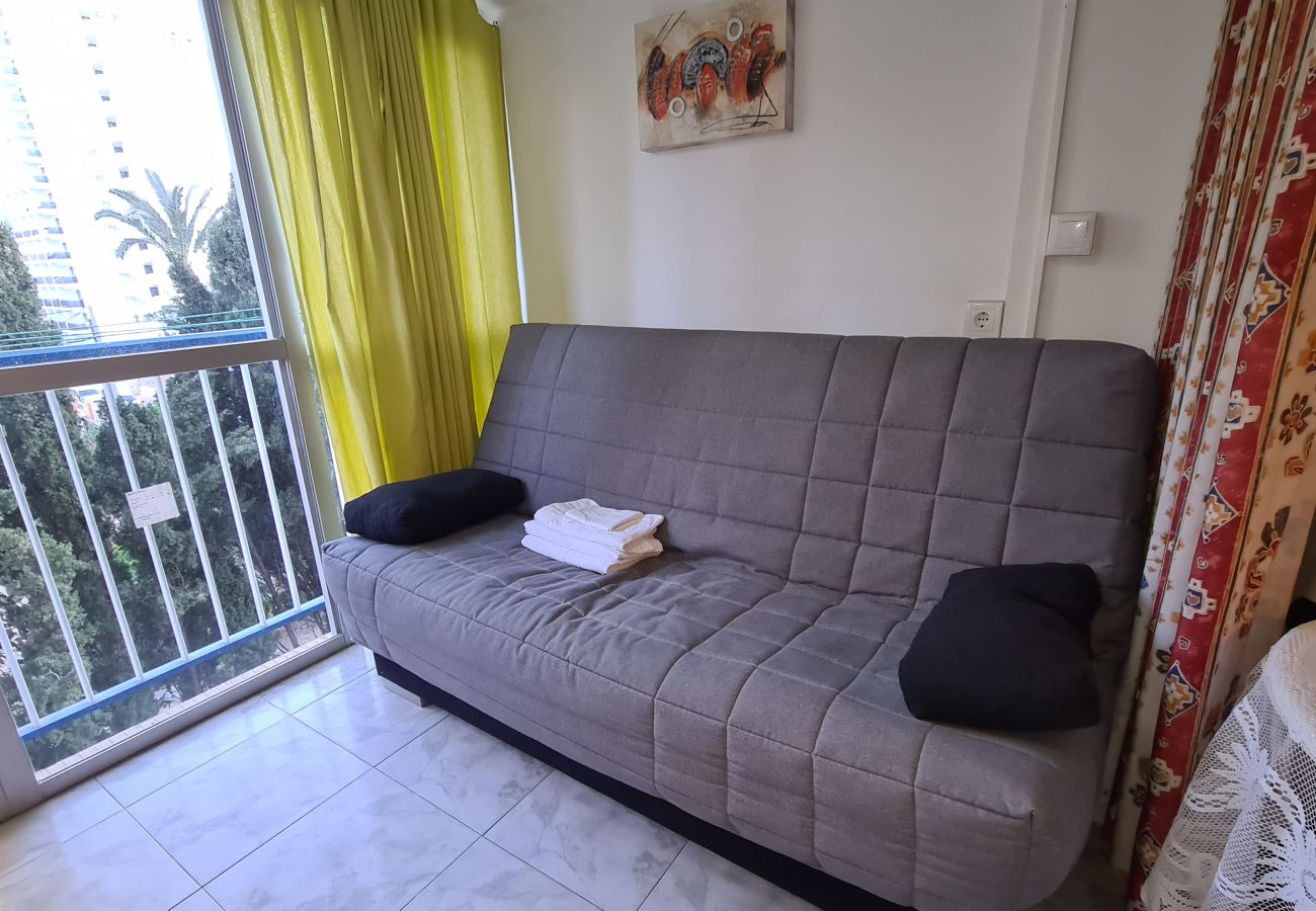 Apartamento en Benidorm - Apartamento  Acacias I  3 IF Benidorm