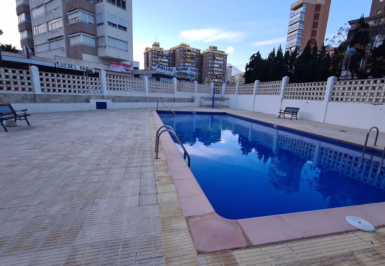 Apartamento en Benidorm - Apartamento  Acacias I  3 IF Benidorm