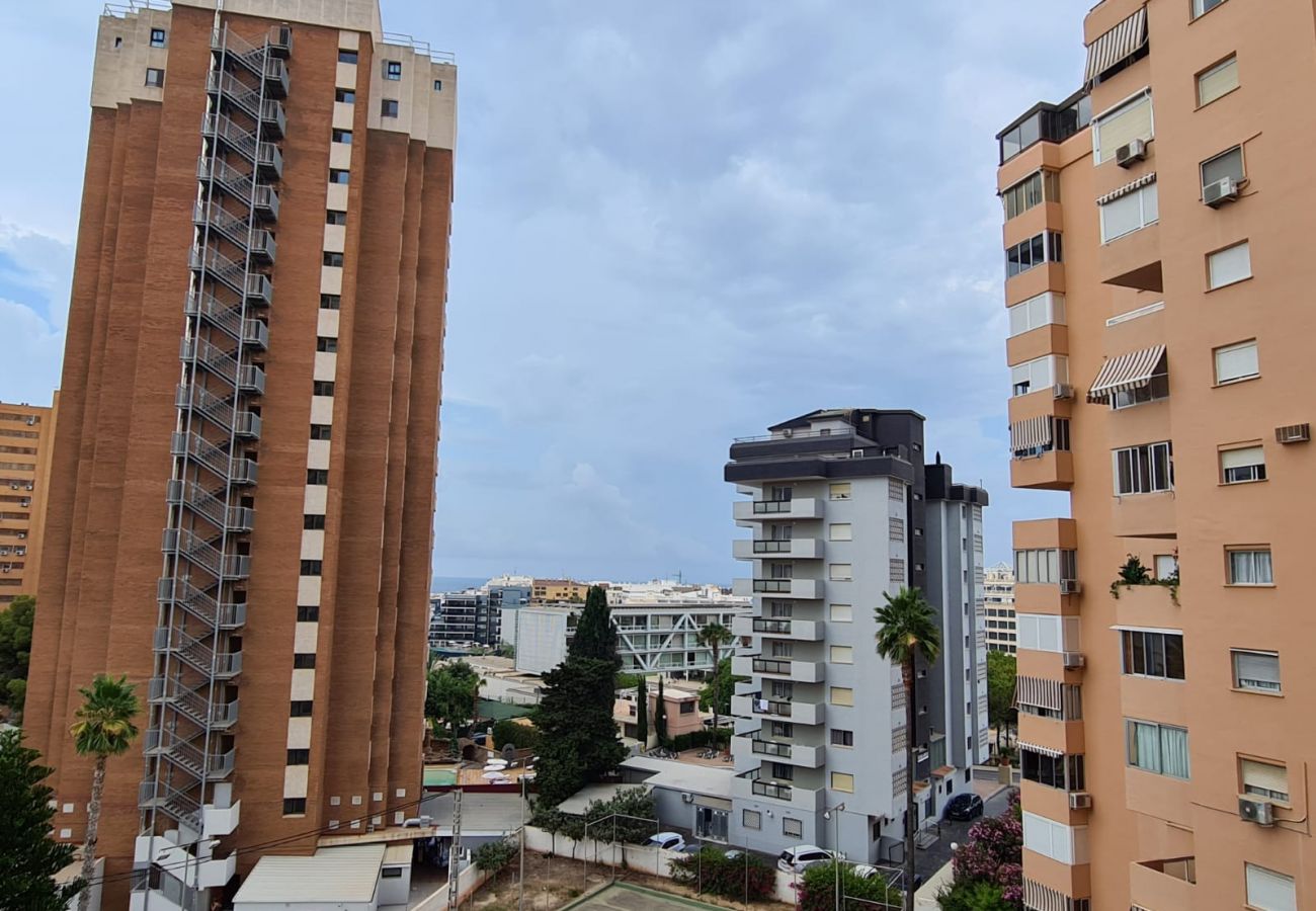 Apartamento en Benidorm - Apartamento Acacias IV 5 IF Benidorm