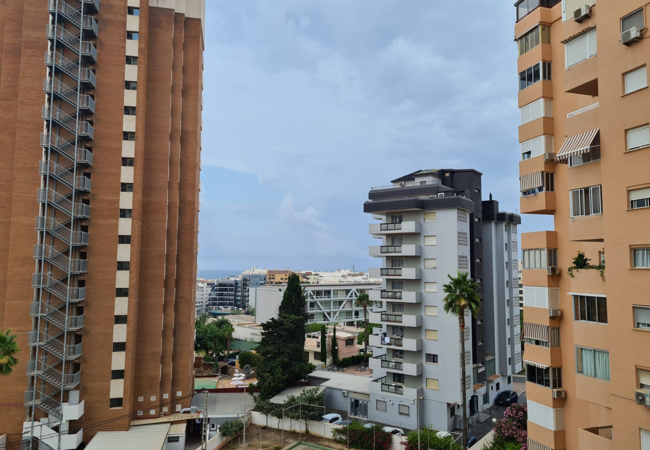 Apartamento en Benidorm - Apartamento Acacias IV 5 IF Benidorm