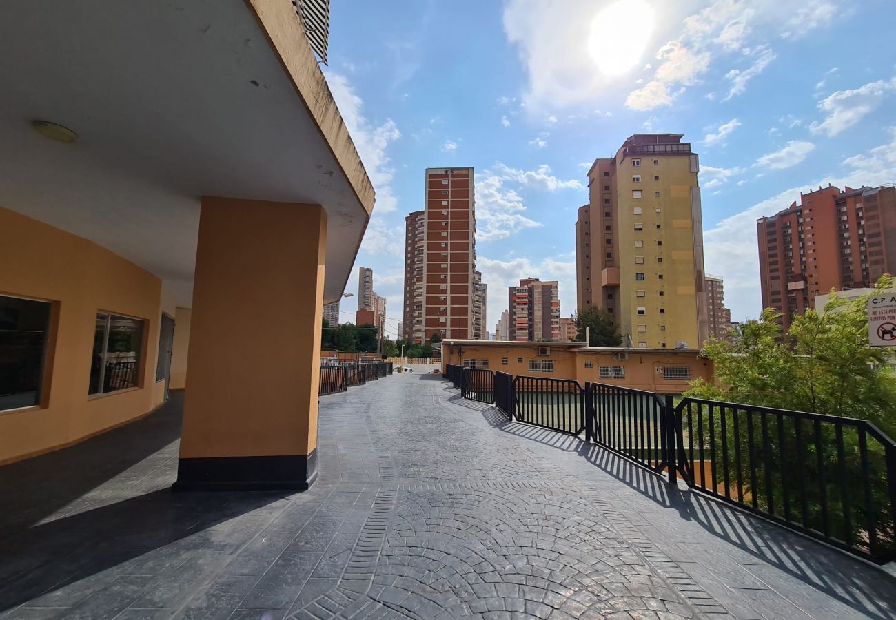 Apartamento en Benidorm - Apartamento Acacias IV 5 IF Benidorm