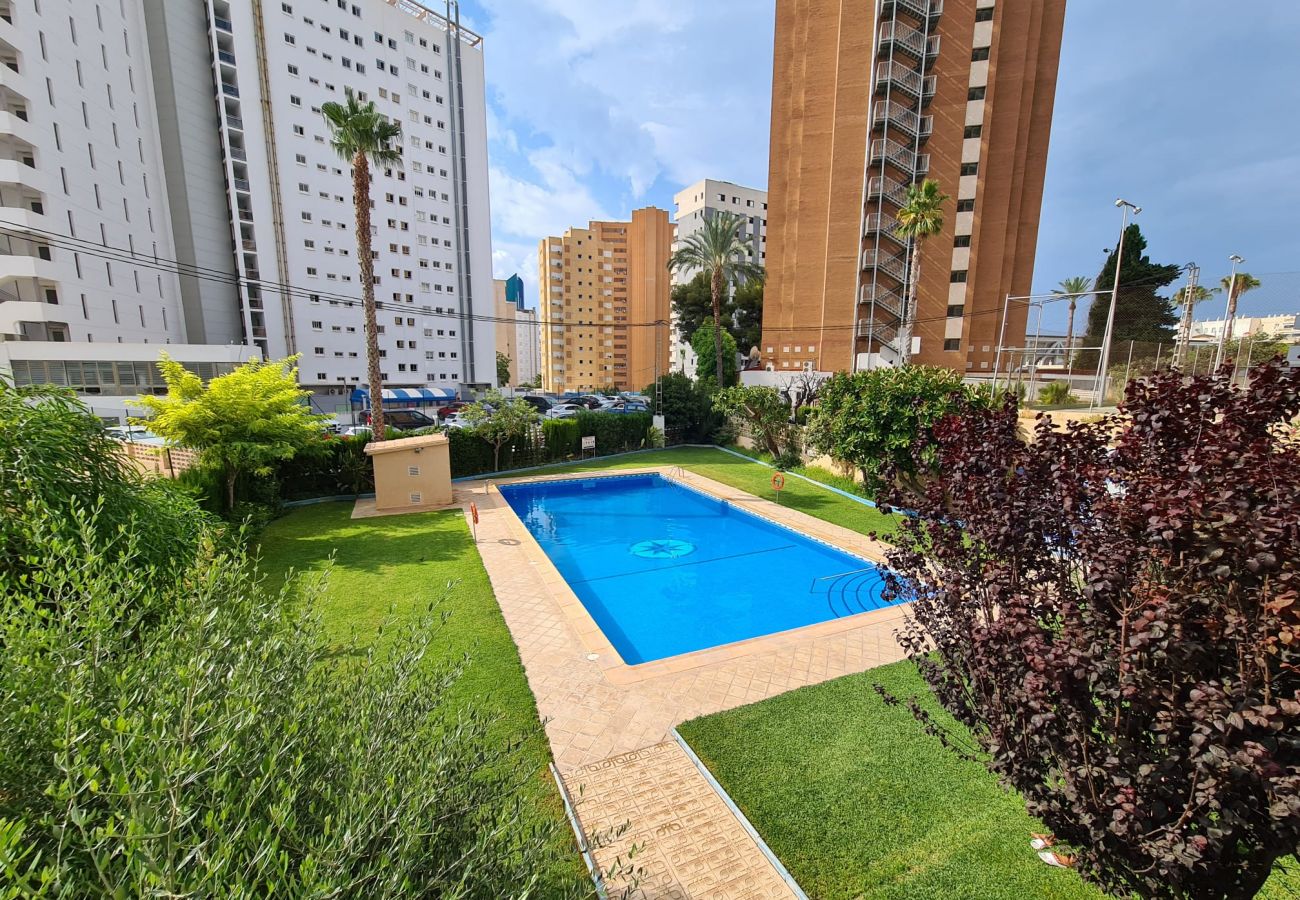 Apartamento en Benidorm - Apartamento Acacias IV 5 IF Benidorm