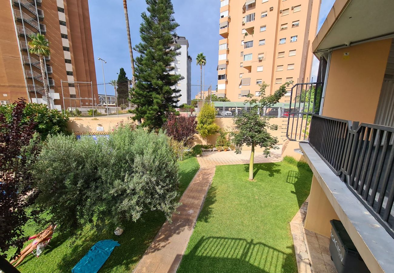 Apartamento en Benidorm - Apartamento Acacias IV 5 IF Benidorm