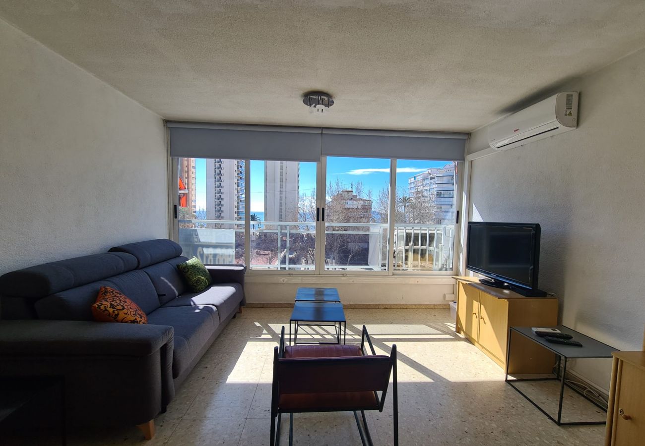 Estudio en Benidorm - Estudio Ducado  IF Benidorm