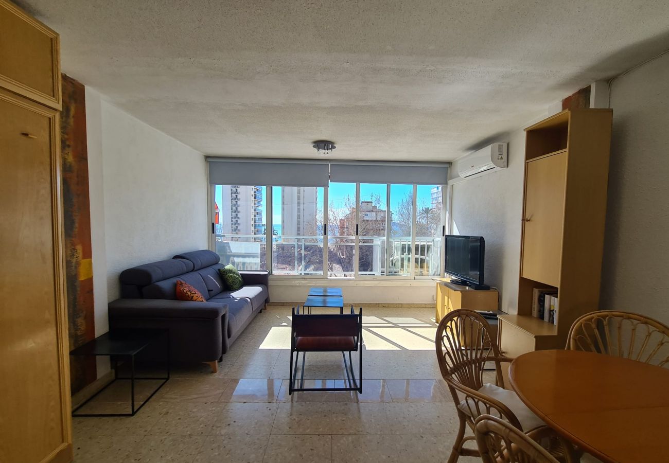 Estudio en Benidorm - Estudio Ducado  IF Benidorm