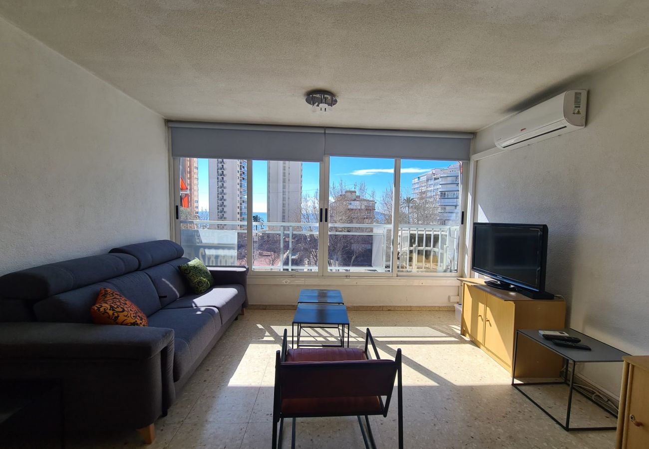 Estudio en Benidorm - Estudio Ducado  IF Benidorm