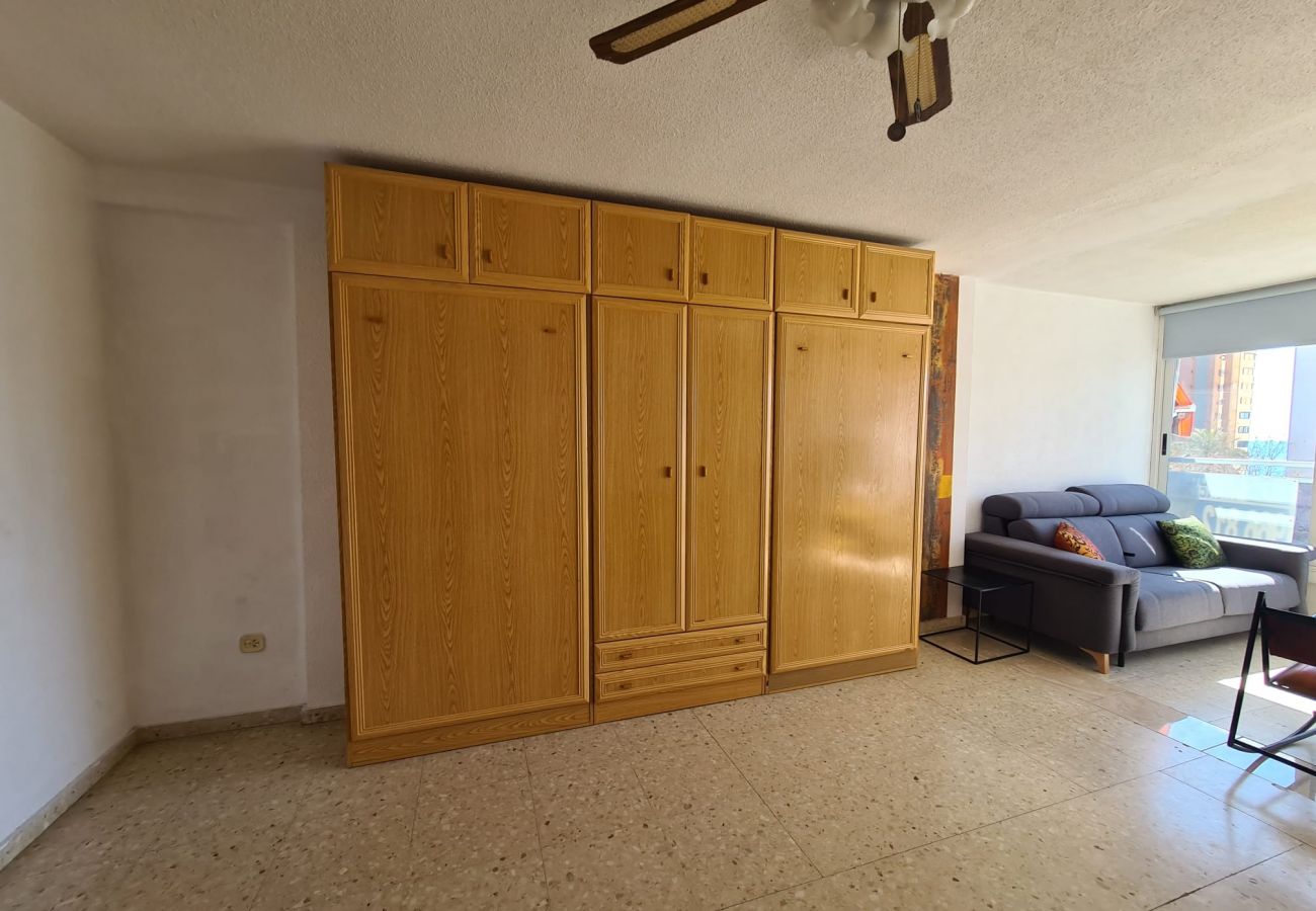 Estudio en Benidorm - Estudio Ducado  IF Benidorm