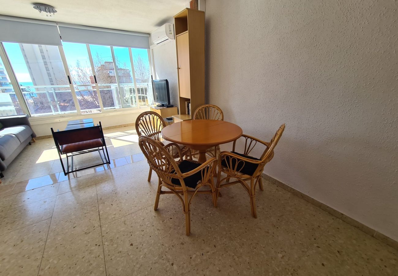 Estudio en Benidorm - Estudio Ducado  IF Benidorm