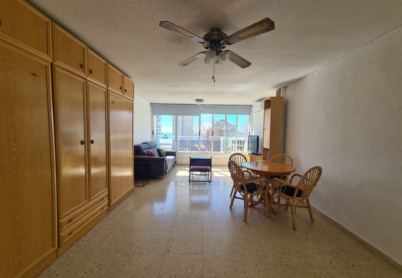 Estudio en Benidorm - Estudio Ducado  IF Benidorm