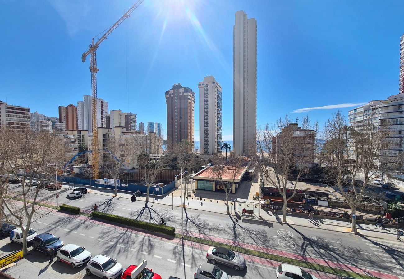 Estudio en Benidorm - Estudio Ducado  IF Benidorm