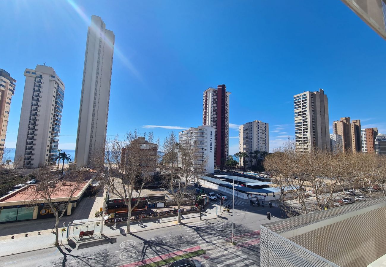 Estudio en Benidorm - Estudio Ducado  IF Benidorm