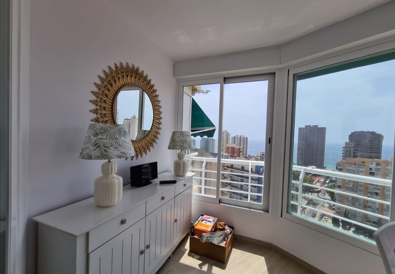 Apartamento en Benidorm - Apartamento Zeus 16 IF Benidorm