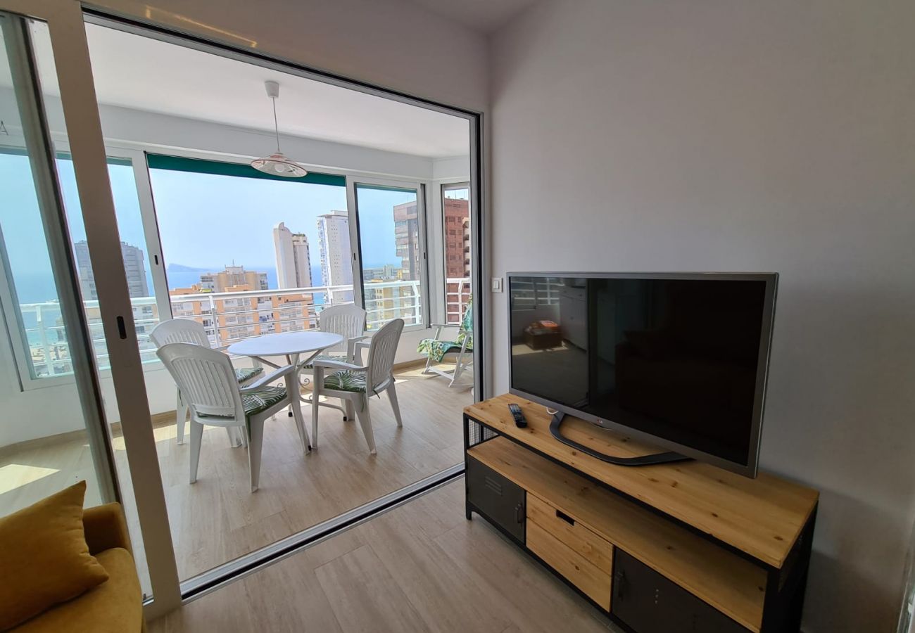 Apartamento en Benidorm - Apartamento Zeus 16 IF Benidorm