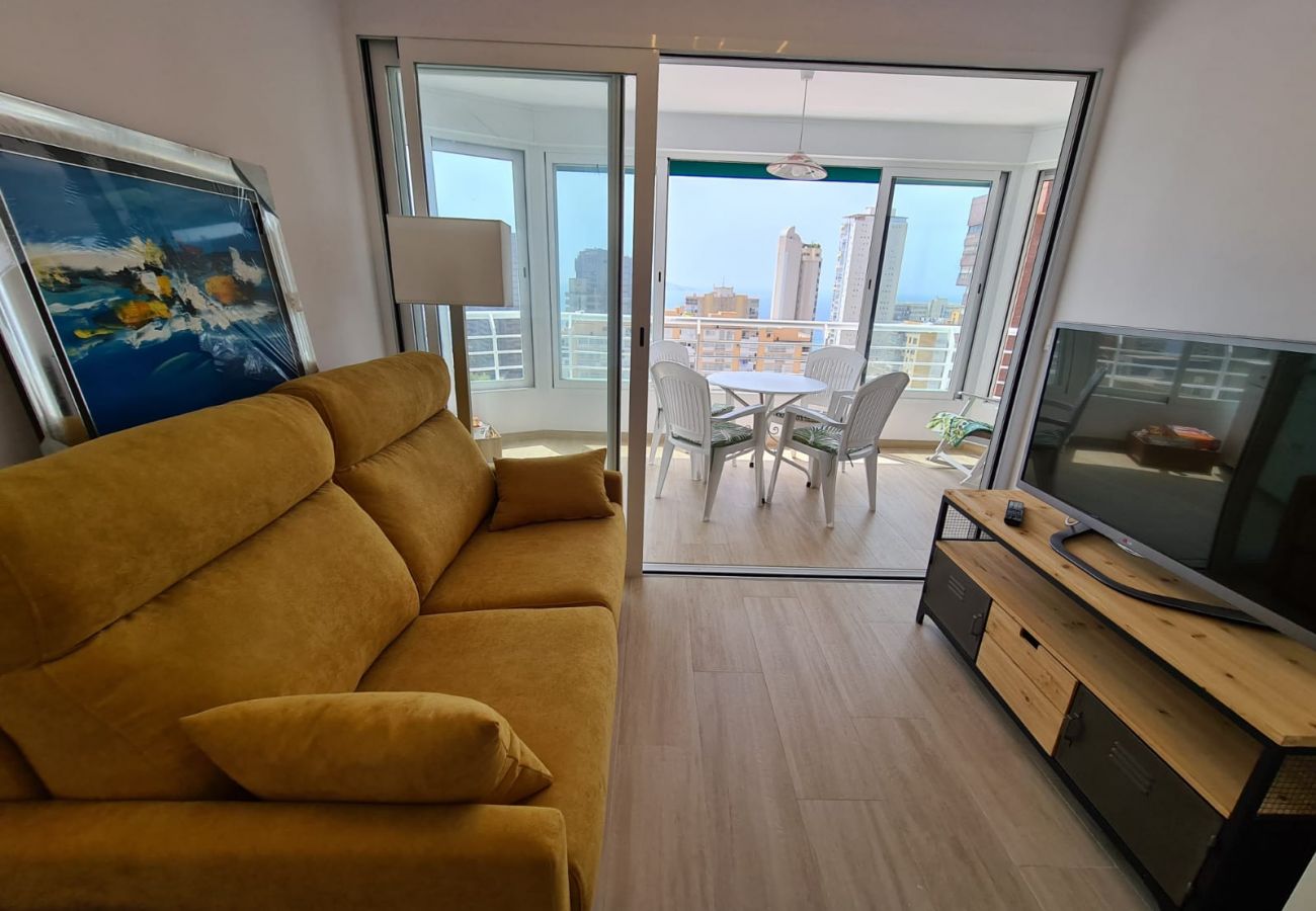 Apartamento en Benidorm - Apartamento Zeus 16 IF Benidorm