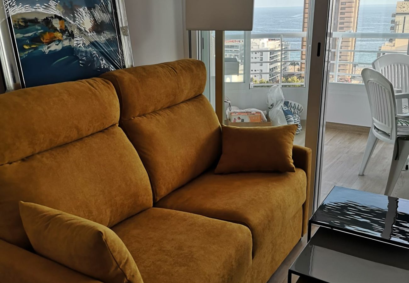 Apartamento en Benidorm - Apartamento Zeus 16 IF Benidorm