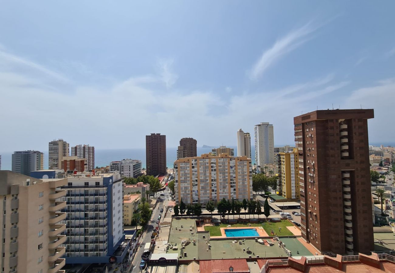 Apartamento en Benidorm - Apartamento Zeus 16 IF Benidorm