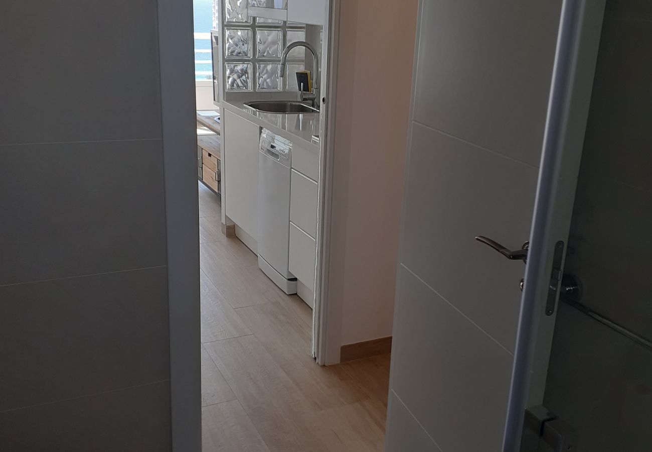 Apartamento en Benidorm - Apartamento Zeus 16 IF Benidorm