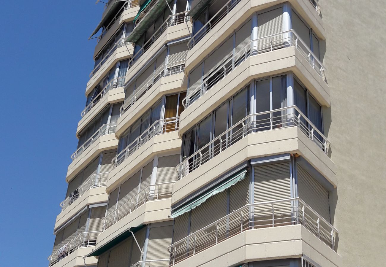 Apartamento en Benidorm - Apartamento Zeus 16 IF Benidorm