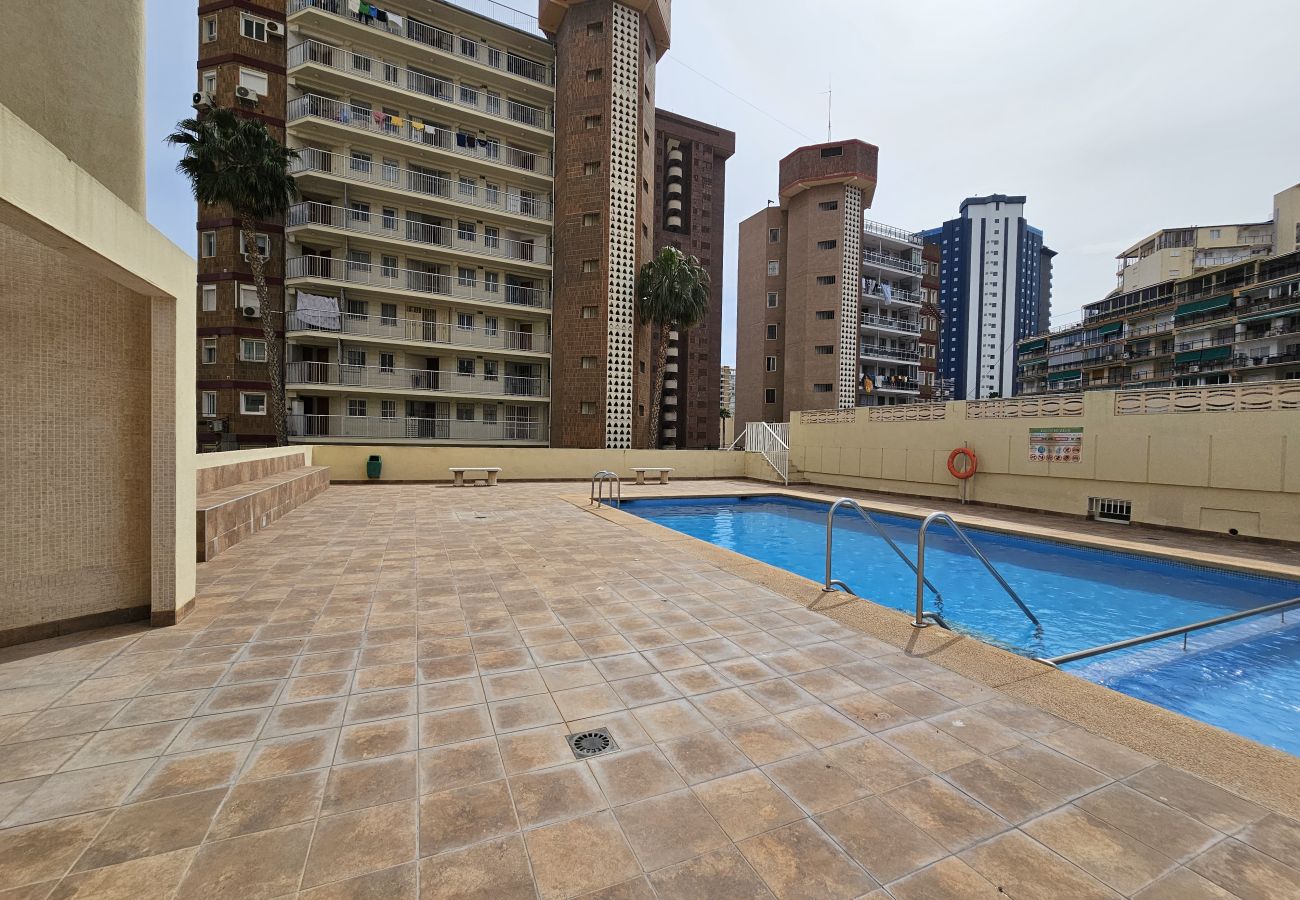 Apartamento en Benidorm - Apartamento Zeus 16 IF Benidorm