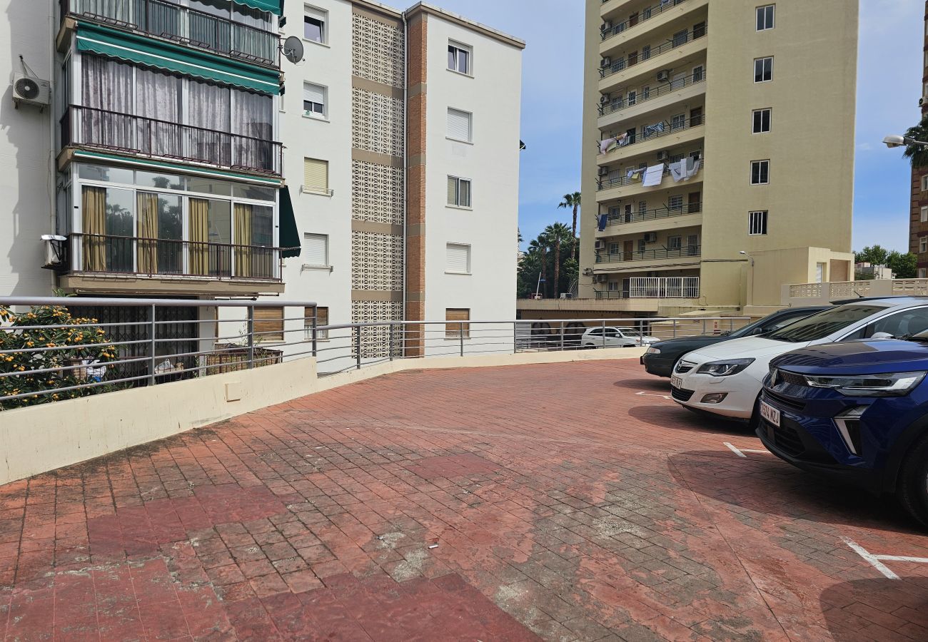 Apartamento en Benidorm - Apartamento Zeus 16 IF Benidorm
