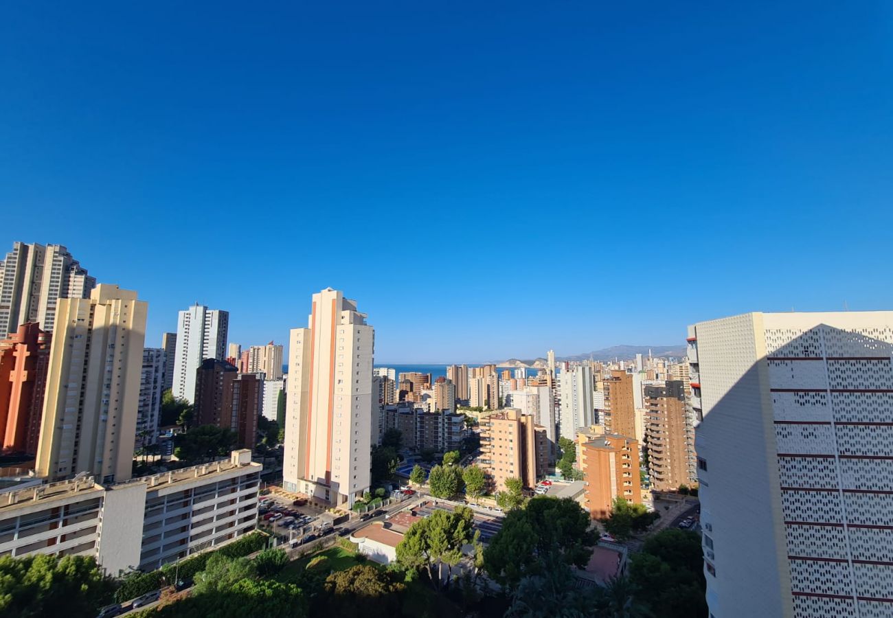 Apartamento en Benidorm - Apartamento Playmon Park 16 IF Benidorm