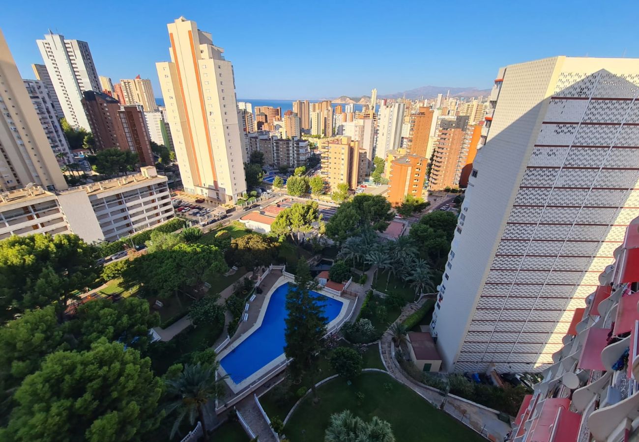 Apartamento en Benidorm - Apartamento Playmon Park 16 IF Benidorm