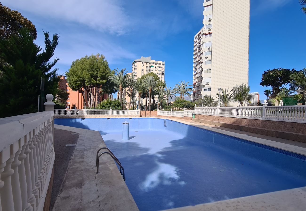 Apartamento en Benidorm - Apartamento Playmon Park 16 IF Benidorm