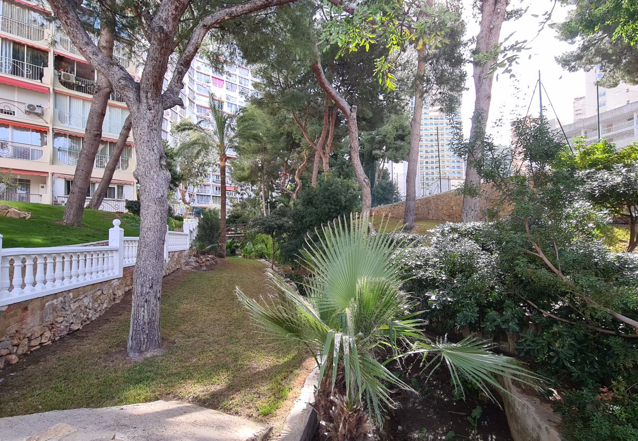 Apartamento en Benidorm - Apartamento Playmon Park 16 IF Benidorm