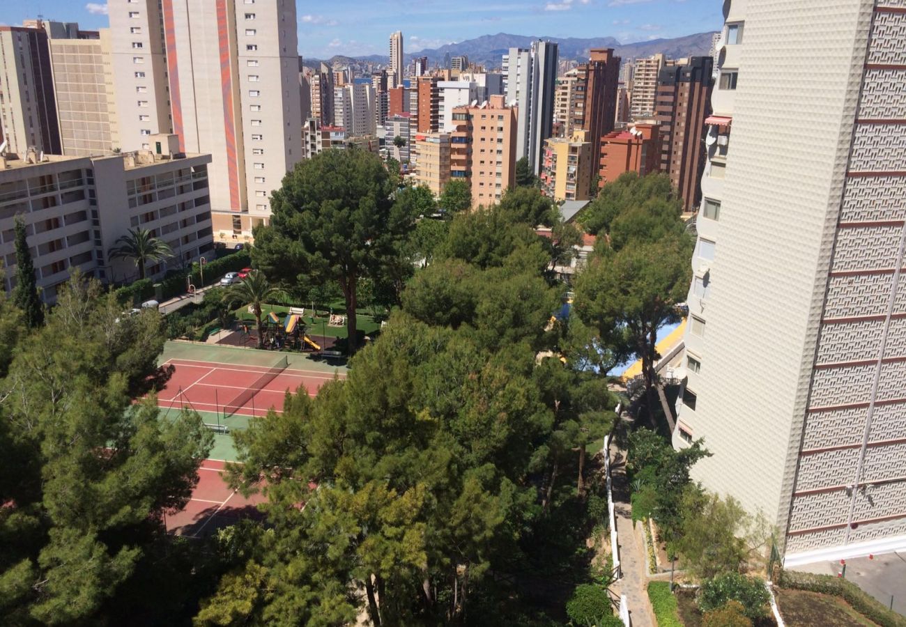 Apartamento en Benidorm - Estudio Playmon Park 10-9 IF Benidorm