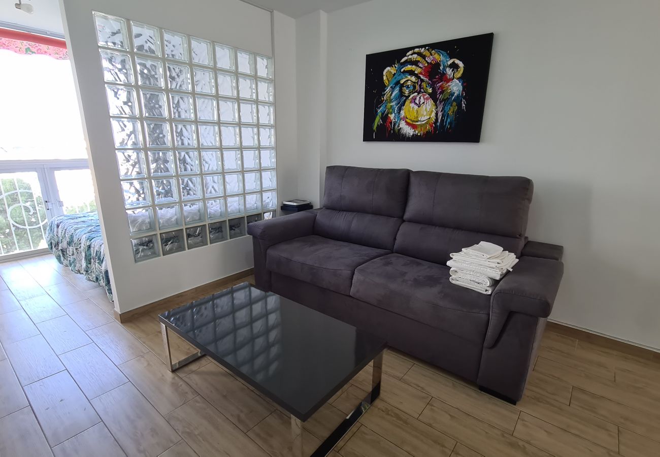 Apartamento en Benidorm - Estudio Playmon Park 10-9 IF Benidorm