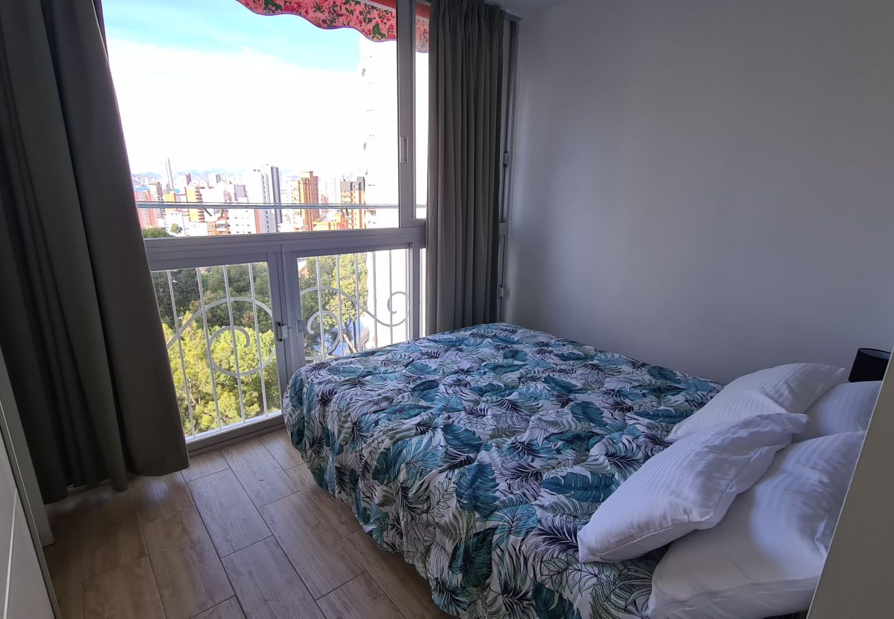 Apartamento en Benidorm - Estudio Playmon Park 10-9 IF Benidorm