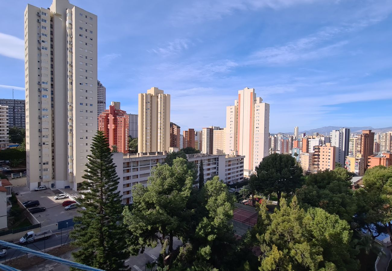 Apartamento en Benidorm - Estudio Playmon Park 10-9 IF Benidorm